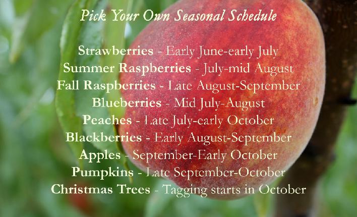 Pick Your Own